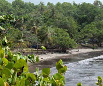Grenada Strand La Sagesse