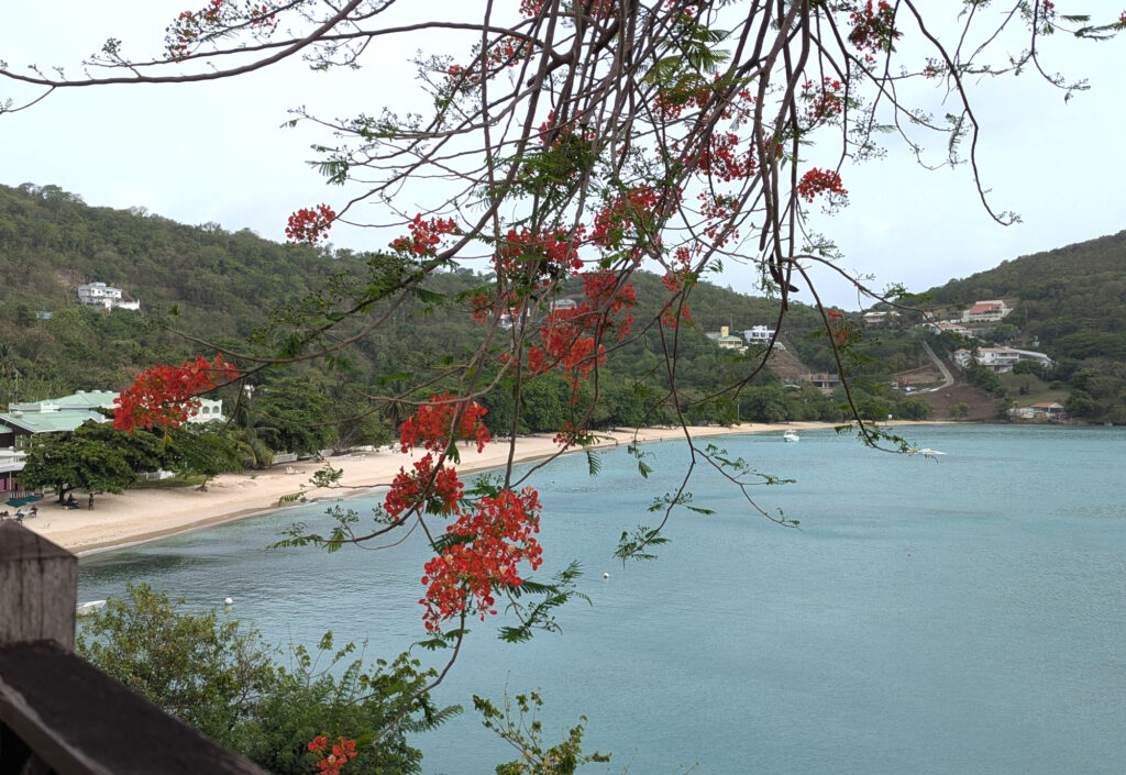 Grenada Blick auf die Morne Rouge Bucht
