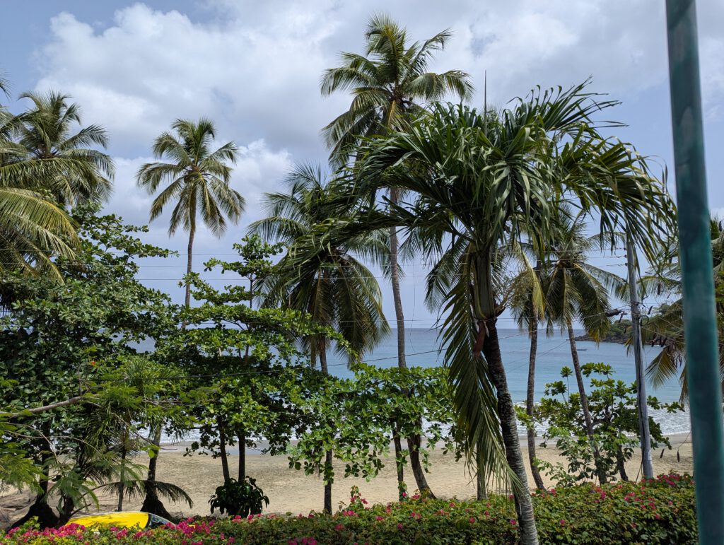 Tobago Stonehaven Bay - Palmen und karibische Idylle