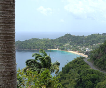 Tobago Blick auf die Bucht von Castara
