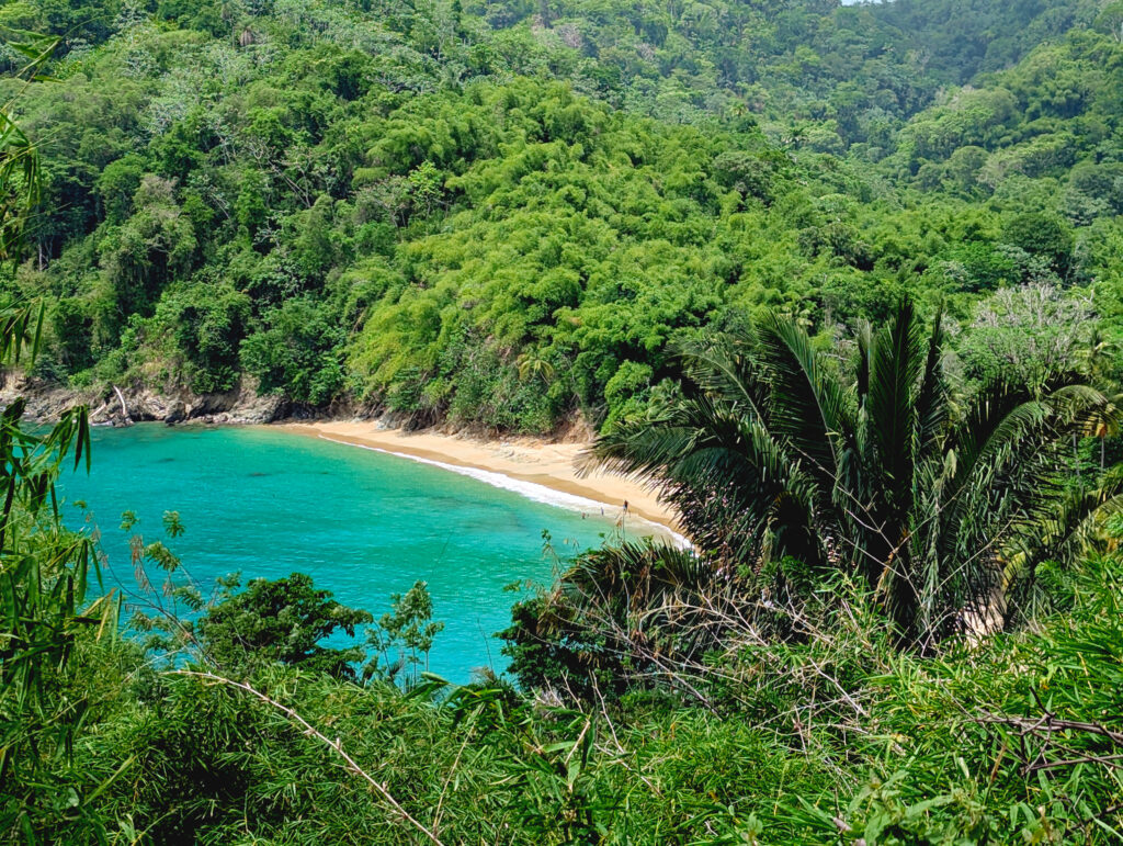 Tobago - Englishmans Bay