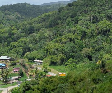 Tobago Mitten drin