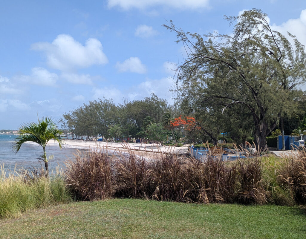 Barbados Little Arches Boutique Hotel. Kleinigkeiten. Blick zum Enterprice Beach