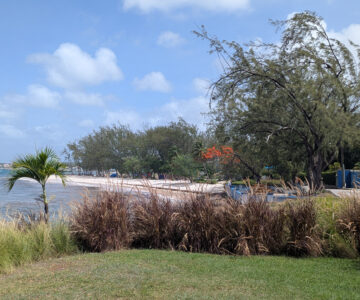 Barbados Little Arches Boutique Hotel 4
