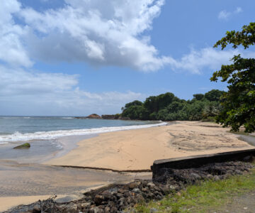 Dominica Atlantikseite Strand