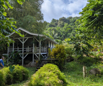 Dominica Citrus Creek Plantation Cottage