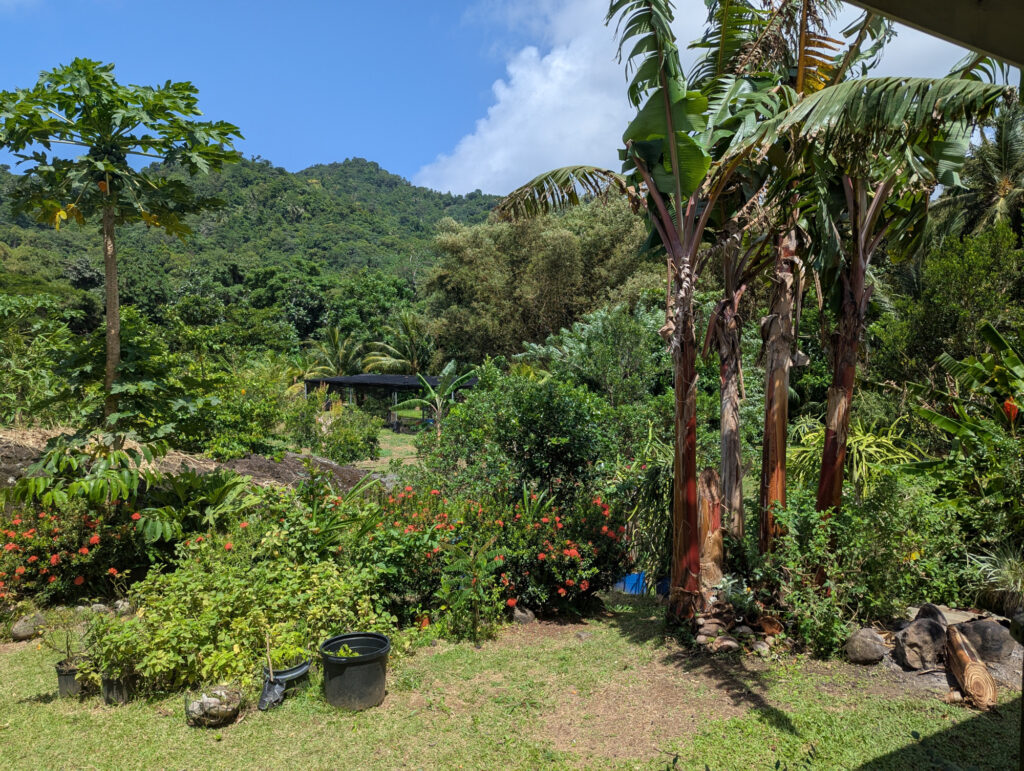 Dominica Soma Garden