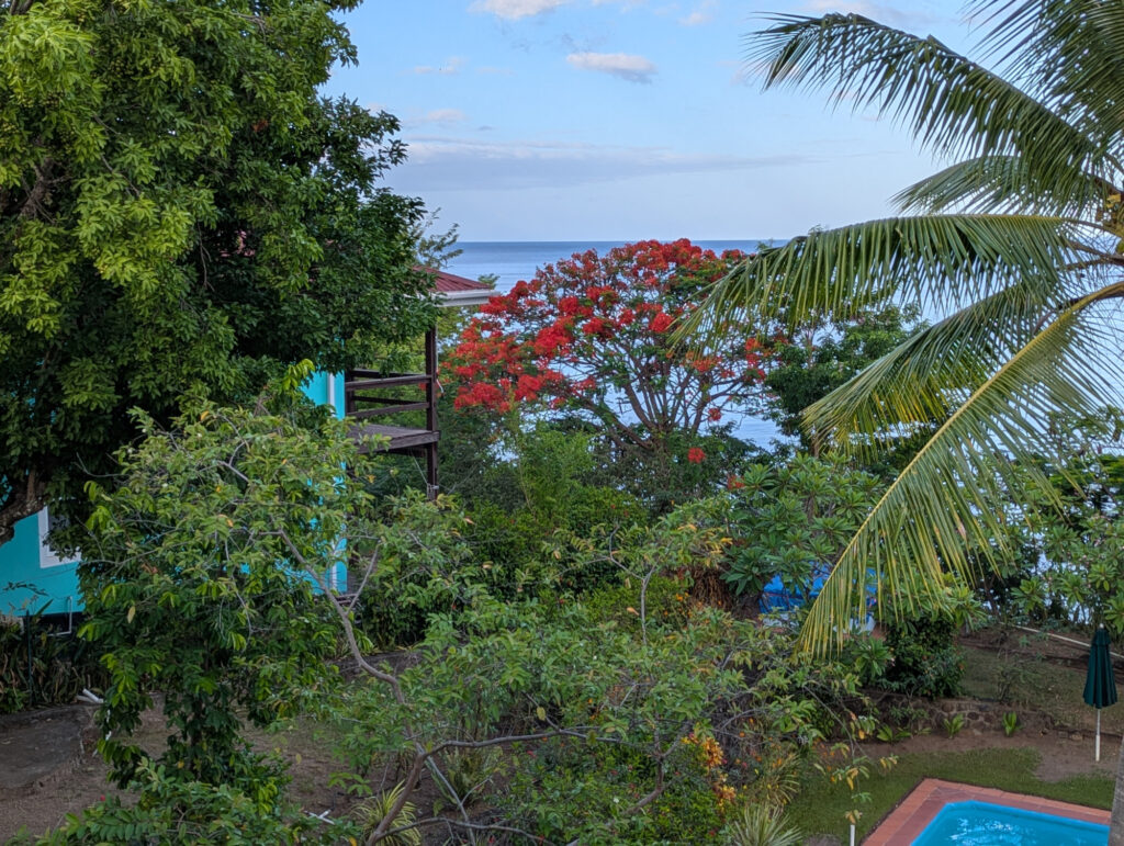 Dominica Tamarind Tree Blick vom Balkon am Morgen
