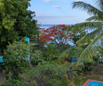 Dominica Tamarind Tree Außengelände