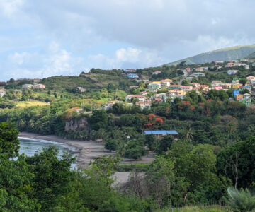 Dominica Tamarind Tree Blick in Richtung Salisbury & Strand