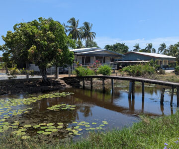 Suriname Comewijne