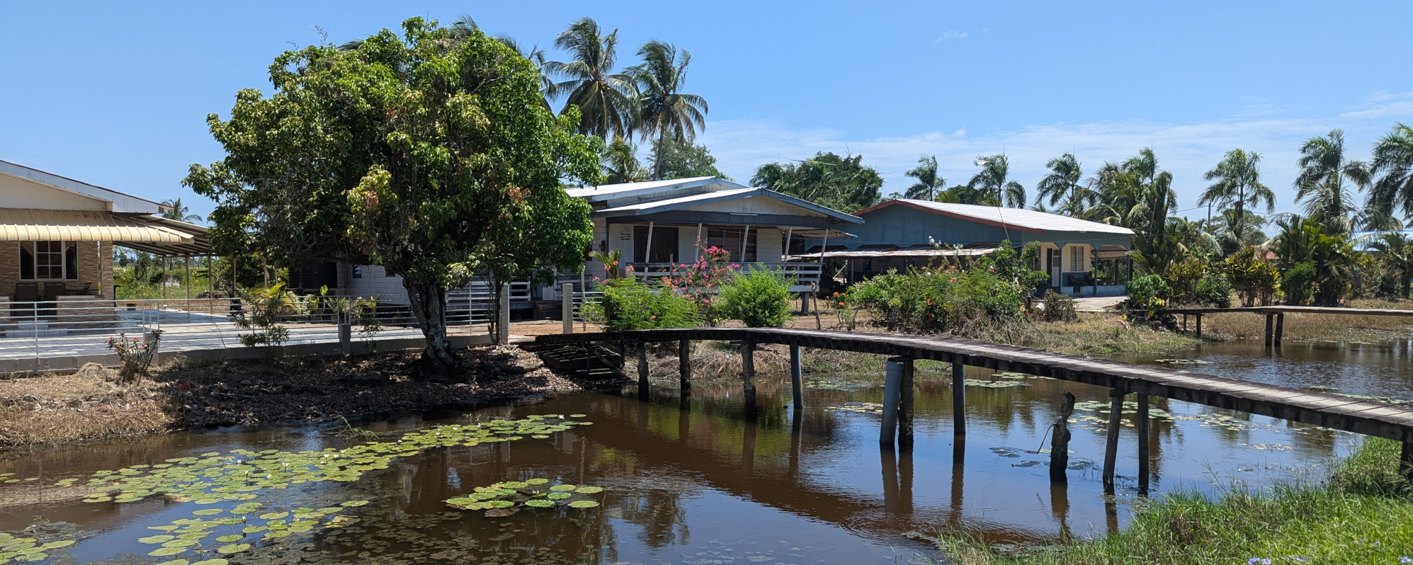 Suriname Comewijne